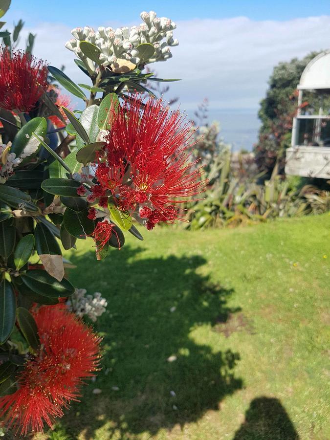 Te Kaha Beach Hotel Buitenkant foto